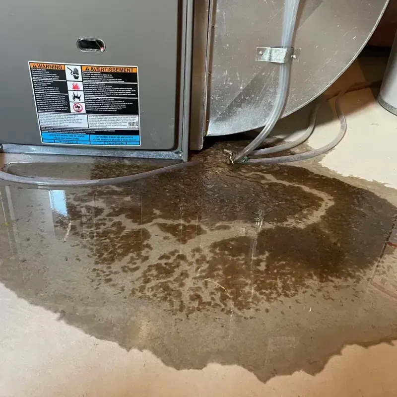 Appliance Leak Cleanup in Escobares, TX